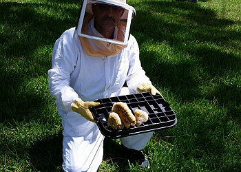 Pasadena Pest Control Companies 007 Pest & Termite