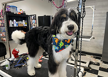 Fresno Pet Grooming 100% Fancy Grooms