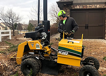 Boulder Tree Services 10 Star Tree Care