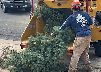Boulder Tree Services 10 Star Tree Care