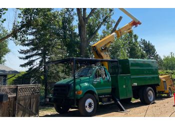 10 Star Tree Care Boulder Tree Services
