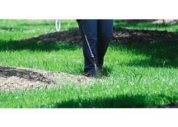 McAllen Lawn Care Services 123 RGV Services