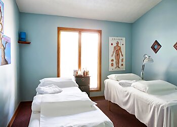 Columbus Acupuncture 12 Meridians Acupuncture