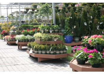 Rating Details See 24 photos and 4 tips from visitors to 14th Street Garden Center.