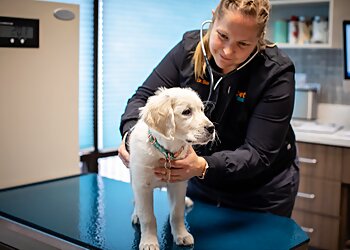 Chandler Veterinary Clinics 1st Pet Veterinary Centers