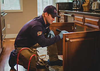 Columbus Pest Control Companies 1st Response Pest Management