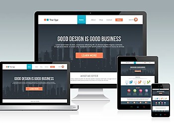 247WebTech 247WebTech - Chula Vista, CA Web Designers - Project Image