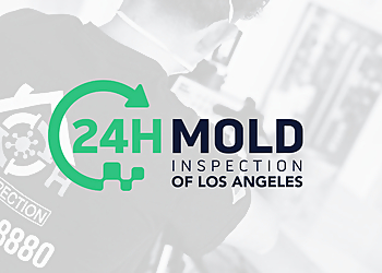 Norwalk Home Inspections 24H Mold Inspection of Norwalk