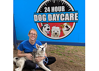 Escondido Pet Grooming 24 Hour Dog Daycare