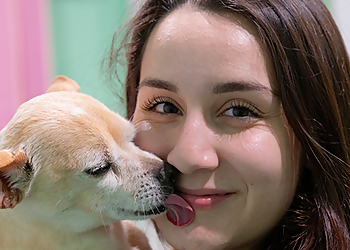 24 Hour Dog Daycare Escondido Pet Grooming image 1