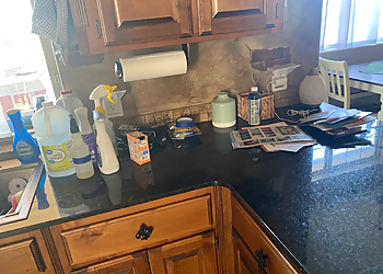 Norman House Cleaning Services 2 Green Chicks