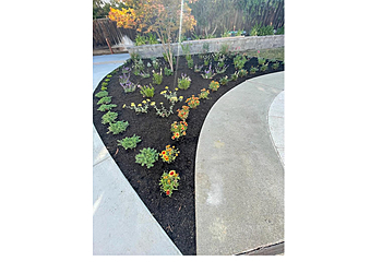 2Green Landscaping & Maintenance Sunnyvale Landscaping Companies image 1