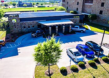 McKinney Pet Grooming 2nd Family Dogs