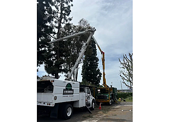 3D Tree Services, Inc. - Orange, CA Tree Services - Service Vehicle Image