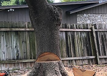 San Antonio Tree Services 3 Monkeys Tree Service
