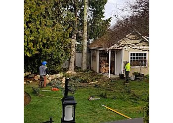 4 A's Tree Services Vancouver Tree Services