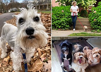 St Louis Dog Walkers 4-Legged Kids, Inc
