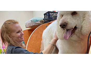 Mesa Pet Grooming 4 Paws Pet Resort