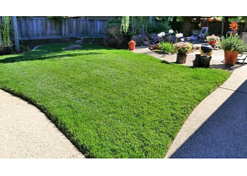 Elk Grove Lawn Care Services 5 Star Gardening