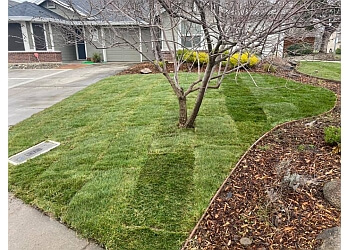 5 Star Gardening Elk Grove Lawn Care Services image 1