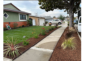 5 Star Landscaping Torrance Lawn Care Services image 1