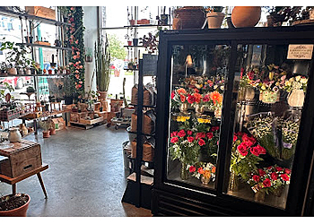 Sioux Falls Florists 605 Florista