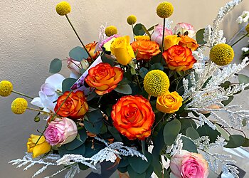 Hayward Florists 6 Star Florist and Gifts Corina