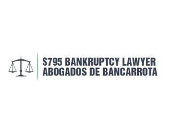 $795 Bankruptcy Lawyer Abogados de Bancarrota