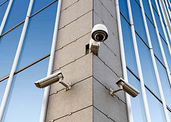 Mesquite Security Systems 7PiXL