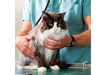 Lubbock Veterinary Clinics 82nd Street Veterinary Clinic