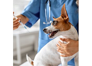 Lubbock Veterinary Clinics 82nd Street Veterinary Clinic