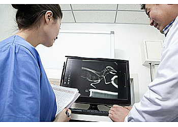 Lancaster Veterinary Clinics 911 Vet Care