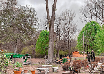A-1 Discount Tree & Lawn Service - Jackson, MS Tree Services - Maintenance Service Image