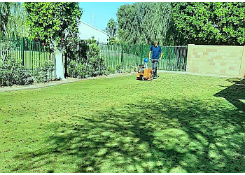 Phoenix Lawn Aeration - Tempe, AZ Lawn Care Services - Project Image