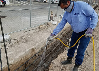 3 Best Pest Control Companies in Brownsville, TX - Expert Recommendations