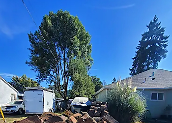 Eugene Tree Services A-1 Ron's Tree & Stump Removal