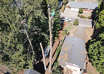 Eugene Tree Services A-1 Ron's Tree & Stump Removal