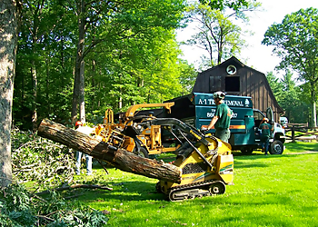 Waterbury Tree Services A1 Tree Service LLC