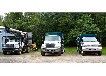 Waterbury Tree Services A1 Tree Service LLC