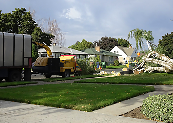 Spokane Tree Services A1 Tree Service & Stump Removal