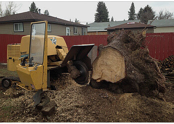 A1 Tree Service & Stump Removal Spokane Tree Services