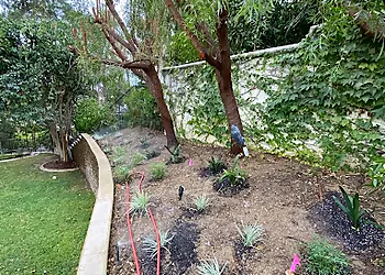 Pomona Landscaping Companies A1Tree and Landscape