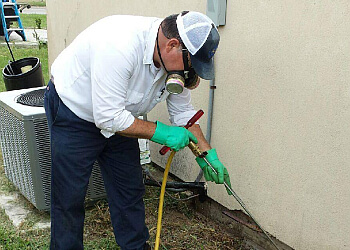 A2Z Termite and Pest Control Brownsville Pest Control Companies