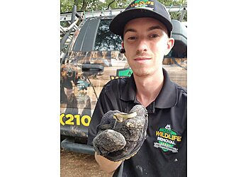 AAAC Wildlife Removal in San Antonio - ThreeBestRated.com
