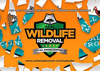 Louisville Animal Removal AAAC Wildlife Removal Louisville
