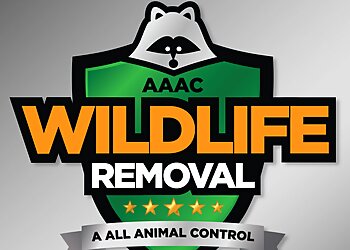 Louisville Animal Removal AAAC Wildlife Removal Louisville