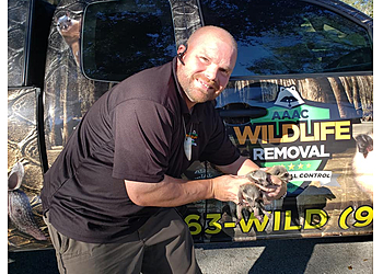Tampa Animal Removal AAAC Wildlife Removal of Tampa Bay