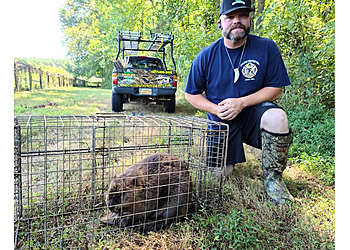 Tampa Animal Removal AAAC Wildlife Removal of Tampa Bay