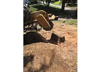 AA Treecare, Inc - Yonkers, NY Tree Services - Service Vehicle Image
