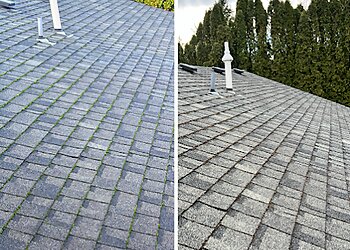 Portland Window Cleaners AA Window & Gutter Cleaning